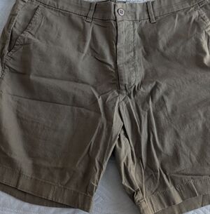 Abercrombie & Fitch Khaki Stretch Shorts